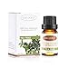 Tea Tree Essential Oil, Oak Leaf 100% Pure Therapeutic Grade Aromatherapy Essential Oils Scented Oil, 10mL