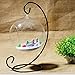 Glass Hanging Air Orbs Terrariums, Glass Plant Terrariums Globe Set of 4 pcs by SWISSELITE BILOBA