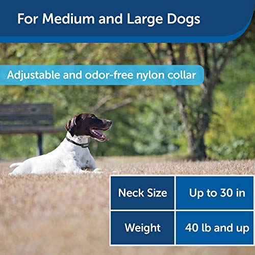 PetSafe Elite Little and Big Dog Remote Trainers, for Small, Medium and Large Dogs, Tone and