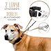 Mighty Paw Martingale Dog Collar 2.0 | Trainer Approved Limited Slip Collar with Stainless Steel Chain & Heavy Duty Buckle - Modified Cinch Collar for Gentle & Effective Pet Training - Large, Black