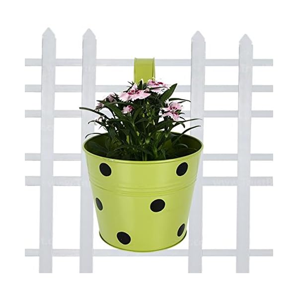 TrustBasket Single Pot Railing Plant with Polka Dots (Pack of 5) - (Multicolour) Dotted Railing Metal Planters for… - Image 5