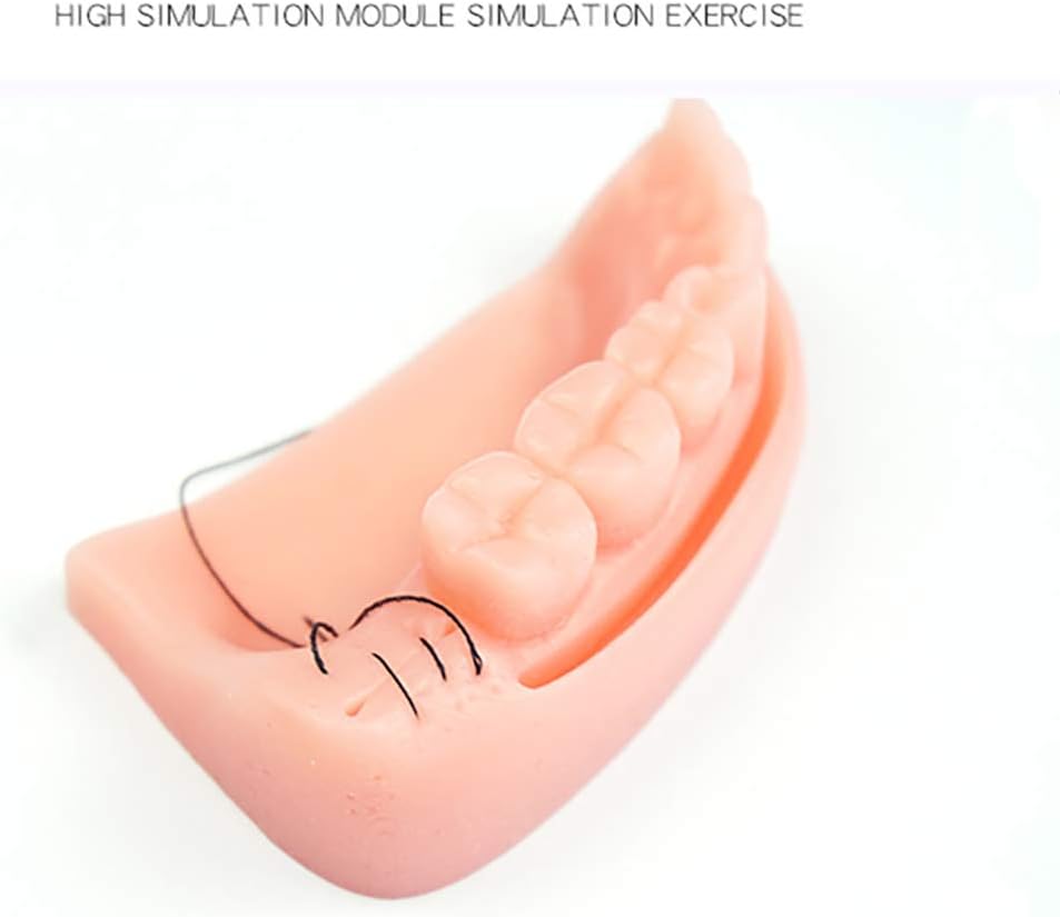 Oral Cavity Suture Training 3D Suture Practice Module Gum, Periodontitis Silicone Suture Practice Reusable for Medical Students Education