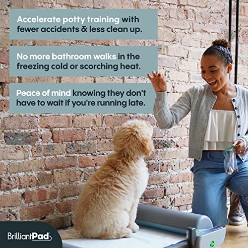 BrilliantPad Smart WiFi Enabled Indoor Dog Potty, SelfCleaning Machine