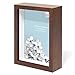 Swing Design Chroma Shadow Box Frame, 5 by 7-Inch, Walnut