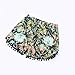 Sunm boutique Women's Shorts Beach Shorts Pom Pom Shorts Tassel Shorts Casual Shorts Summer Beach Shorts (Extra-Large, Green)
