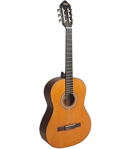 Amazon.com: Valencia VC204H 200 Series Classical Guitar