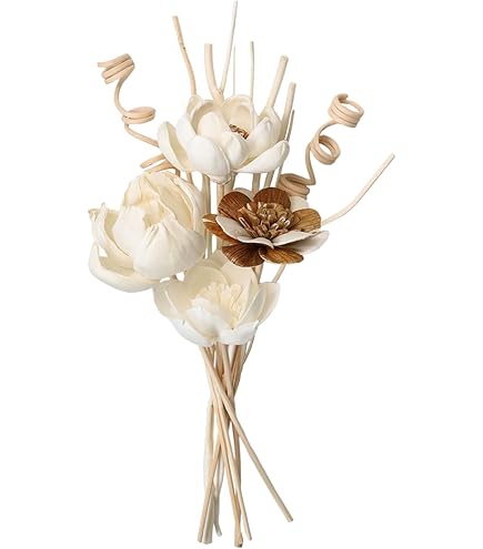 Amazon.com: Coqui Coqui Tabaco Room Diffuser