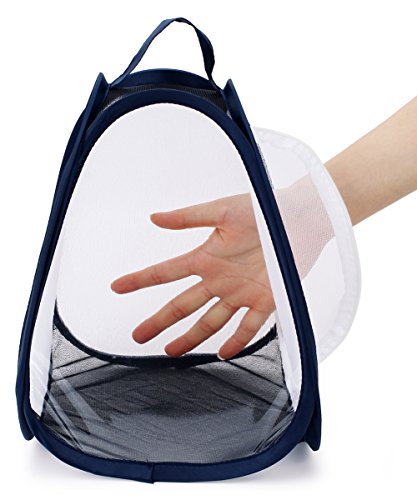 4 RESTCLOUD+Butterfly+Habitat+Insect+Terrarium