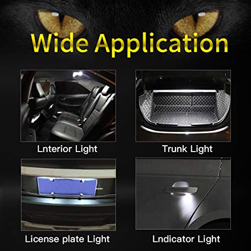 4 Cougar+Motor+Replacement+Interior+Courtesy