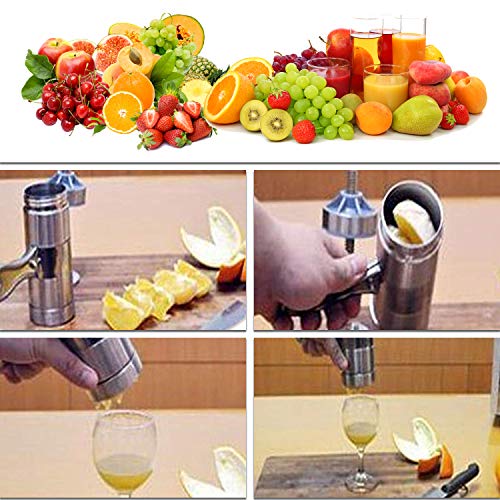 Stainless Steel Manual Pasta Machine Noodle Maker with 5 Noodle Mould