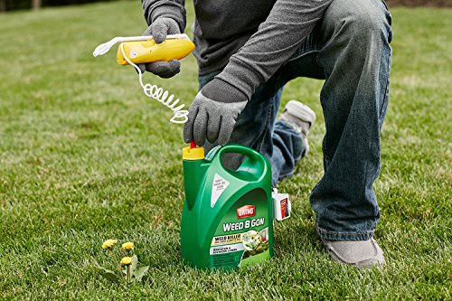 1 Ortho+Weed+Killer+Wand+1+gallon