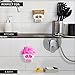 Peleg Design Brain Drain White Skull Sponge Holder for Kitchen, Bath, or Sink, Drains and Dries All Types of Sponges, 1 Sponge Included