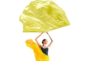 NIMIMAN Soft Worship Flags Wings 1 Piece Belly Dance Flags and Stick Wings Praise Dance Flag Performance Props (Gold)