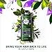 Herbal Essences Biorenew Cucumber & Green Tea Sheer Moisture Shampoo, 13.5 FL OZ