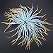 HEEPDD Aquarium Artificial Silicone Sea Anemone Decoration, Simulation Sea Anemone Coral Ornament Fish Tank Silicone Material Luminous Decorations for Freshwater Saltwater Aquarium(Orange)thumb 3