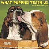 What Puppies Teach Us 2020 Wall Calendar by 