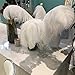 Sowder 12-14inch(30-35cm) Ostrich Feathers Plume for Wedding Centerpieces Home Decoration Pack of 10pcs(White)