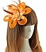 Coolr Fascinator Hair Clip Cocktail Headwear Flower Bridal Headpieces (Orange)