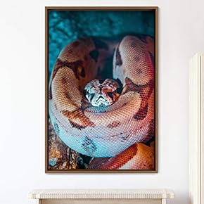 signwin Framed Canvas Wall Art Snake Contemporary Dramatic...