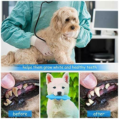 PetendTrust-Teething Toys for Puppies 2-8 Months- Dog Teething Toys - Puppy Chew Toys for Teething - Puppy Toys for Teething Small Dogs - Dog Toys for Puppies - Agressive Chewers - Dog Chew Toothbrush