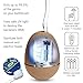 Violife Style Zapi Luxe UV Toothbrush Sanitizer, Camel Tan, 6.3 Ounce