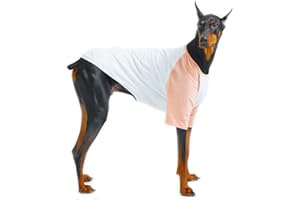 Lucky Petter Dog Cotton Shirts for Small and Large Dogs Raglan T-Shirts Soft Breathable Dog Shirt pet Clothes (3X-Large, White/Peach)