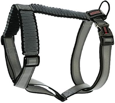 amazon kong harness