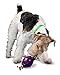 PetSafe Busy Buddy Twist 'n Treat Dispensing Dog Toy - Large