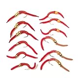 The Fly Fishing Place Trout Fly Assortment - San Juan Worm Power Bead 1 Dozen Wet Nymph Fly Fishing Flies - Hook Size 10-3 Each of 4 Patterns