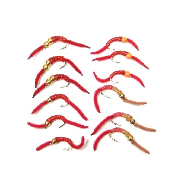 Trout-Fly-Assortment-San-Juan-Worm-Power-Bead-1-Dozen-Wet-Nymph-Fly-Fishing-Flies-Hook-Size-10-3-Each-of-4-Patterns