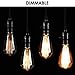 ST64 Vintage Edison Light Bulbs Dimmable 60W/110V E26/E27 Base Replacement Bulbs for Wall Sconces Lights, Pendant Light, Amber Warm & Squirrel Cage Filament Antique Light Bulb for Home Decor (8 Pack)