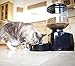 topPets PF-19A Automatic Pet Feeder Perfect Dinner Pet Feeder for Dog and Cat with Portion Control w/ LCD display by topPets