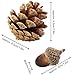 Ageomet 160pcs Artificial Acorns and Pinecones Set Hanging Ornaments for Christmas Décor
