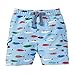 Mud Pie Little Boy Fish Swim Trunks