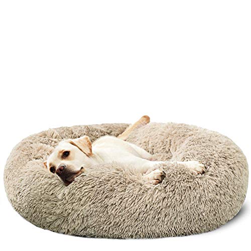 large indoor dog beds
