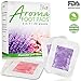 Premium Aromatherapy Rose Foot Pads - Stress, Pain Relief - Natural Better Sleep Aid - Energy Booster - Odor Eliminator, Relaxing Feet Health Care Ginger Pad by Lepa Life - Set of 20