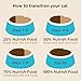 Rachael Ray Nutrish Premium Natural Dry Cat Food, Chicken & Brown Rice Recipe, 3 Pounds
