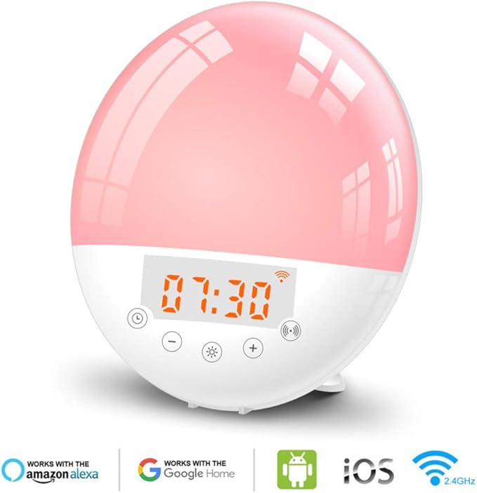 google home gradual alarm