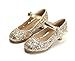 THEE BRON Toddler Little Girls Low Medium Heel Dress Flats Mary Jane Pumps(901 Toddler,Gold/8M)
