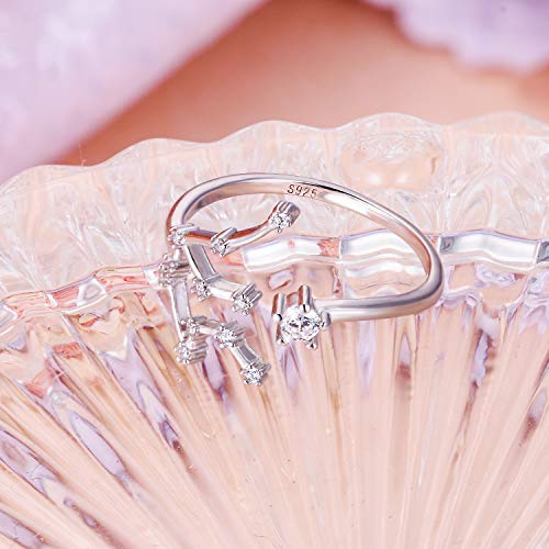 BriLove 925 Sterling Silver CZ Statement Ring for Women -"Aquarius" Horoscope Zodiac 12 Constellation Astrology Adjustable Ring