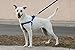 Best Step In No Pull Dog Harness for Large & Medium Size Breeds, Fits on Chest Girth Sized (1.0