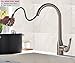 KINGO HOME Commercial High Arch Single Hole Single Handle Stainless Steel Pull Out Brushed Nickel Kitchen Sink Faucets,Dual Function Spout Sprayer