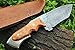 DKC Knives (17 5/18) Sale DKC-85 Tomcat Damascus Skinner Hunting Knife 9