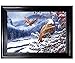 Those Flipping Pictures-Framed Parent (Eagles in Wild)