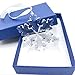 XIANGBAN Clear Crystal Snowflake Star Creative Snowflake Modeling Series Jewelry and Jewelry Box (Year Label Removable)