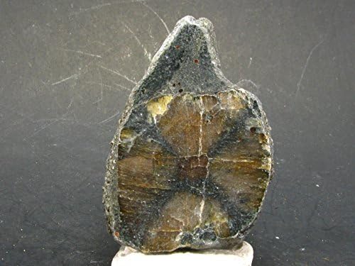 Andalusite Chiastolite Crystal From China - 1.8"