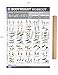 Bodyweight Exercise Poster - Total Body Fitness - Laminated - Home Gym Workout Poster - Bodyweight Exercises - Tone Your Legs, Arms, Abs, Core, Butt - Fitness Chart - Exercise Programs 19X27