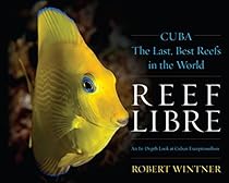 Hokusai: Paintings and Prints