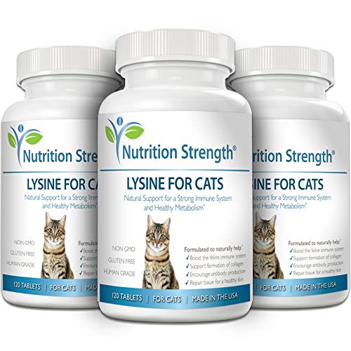 Nutrition Strength Lysine for Cats, Help Support The Feline Immune ...