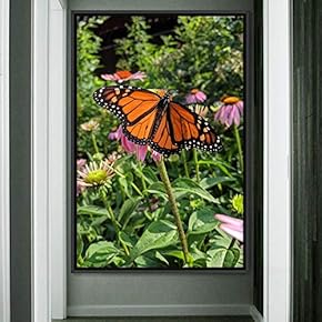 signwin Framed Canvas Wall Art Butterfly Expressive Farmhouse/Country...